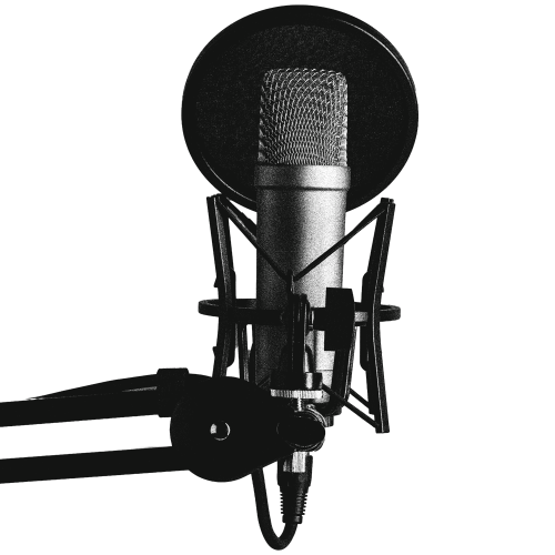 Microphone